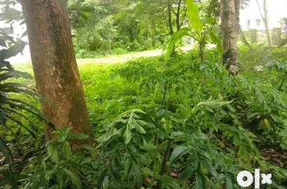 Arayidathupalam Near BMH Hospital 4.8 land